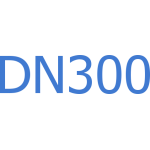 DN300